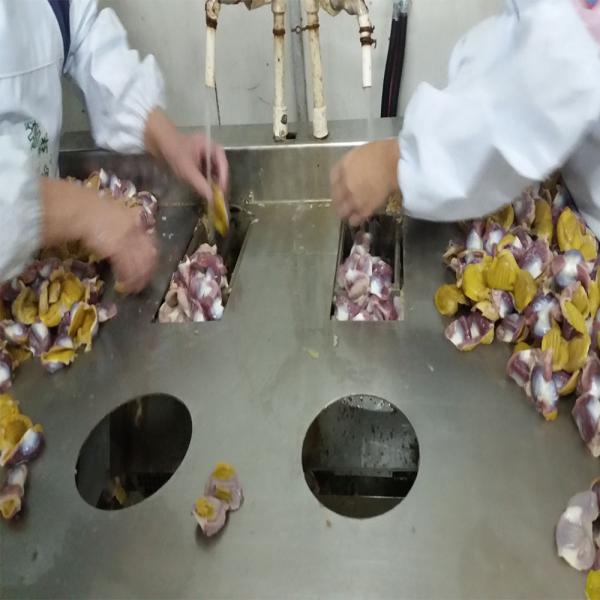customerilized new full stainless steel 304 semi-automatic halal slaughter house gizzard peeling equipment