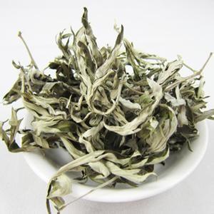 Liver protection natural herbal ingredients, Aiye Leaf P.E 10:1, Dermatitis