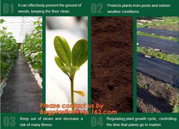 Agricultural plastic ground cover weed mat, pp weed control mat, for greenhouse