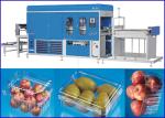 Plastic Vacuum Thermoforming Machine For Super market Fruit and Vege containers