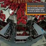 Linear Automatic Filling Machine Cherry Blueberry Strawberry Tray Box Packaging