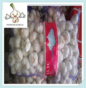 Wholesale China farm fresh organic garlic wholesale price Fresh White Garlic Exporter In China from china suppliers