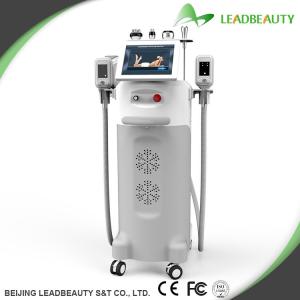 Wholesale Multifunctional Fat freezing slimming machine with 5 treatment handle from china suppliers