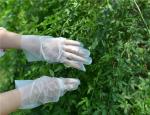 Non Toxic Household Cleaning Disposable TPE Gloves