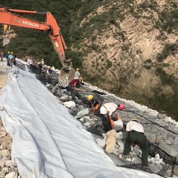 Industrial Design Style Bidirectional Plastic Geogrid for Road Foundation