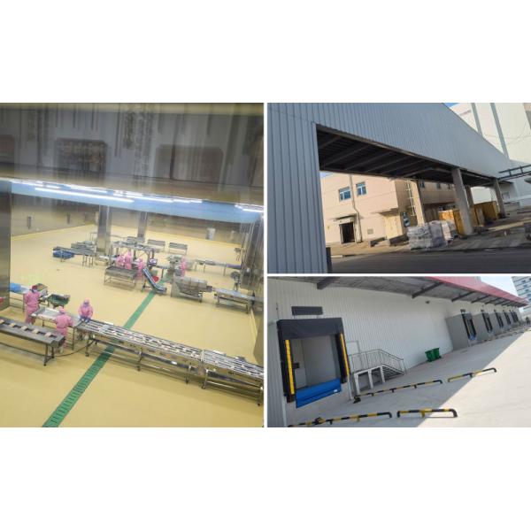 Cold Storage Warehouse ASRS