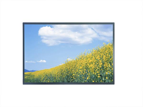 17-inch FHD 1920x1200 Pixels Industrial Liquid Crystal Display Panel with 88/88