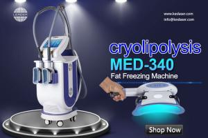 Wholesale Beauty Salon Cryolipolysis Machine Slimming Body Lose Weight Machine 660W from china suppliers