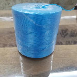 Wholesale 3-5kgs/Spool Polypropylene Plastic Raffia Twisted Tomato Twine For Agriculture from china suppliers