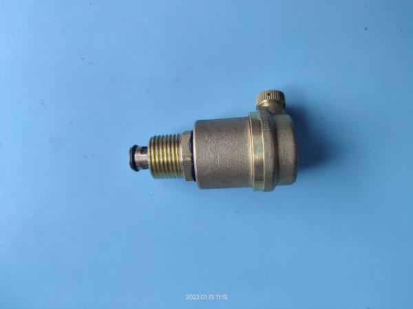 Automatic Exhaust Brass Water Valve Anti Corrosion External Thread 1.6mpa