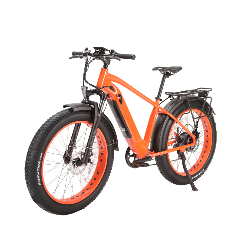 Sensor Smart Type 500w 48v E Bike DOMANCA 2024 with Powerful and Customized Fat Tire