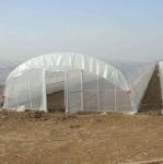 9x30m Plastic Tunnel Greenhouse Covered Plastic Film For Vegetable Growing