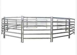 Wholesale Metal Cattle Farm Equipment 1.6 * 1.8 Meters Hot Dip Galvanized Fence Panel from china suppliers