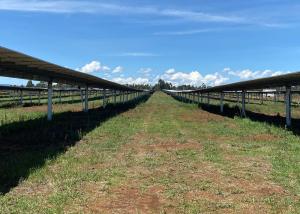 Wholesale Ground Photovoltaic Sun Tracking Solar Panel Mount Single Axis from china suppliers