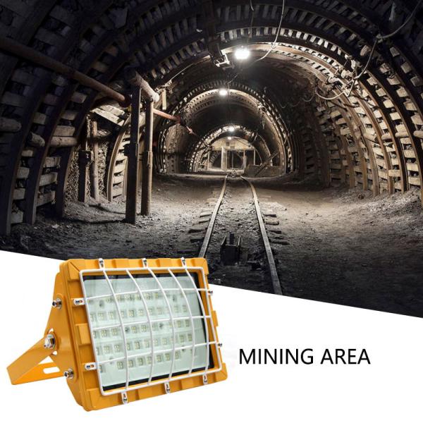 2700K - 6500K High Power Explosion Proof Lamp With Mesh Cover IP65