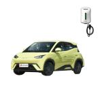 2024 BYD Seagull 100% Electric Fuel 400 km Long Endurance Lithium Battery Mini