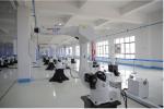 High Precision 6 Axis Industrial Robot Steel Material Easy Application