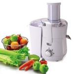 KP60PD power juicer from kavbao