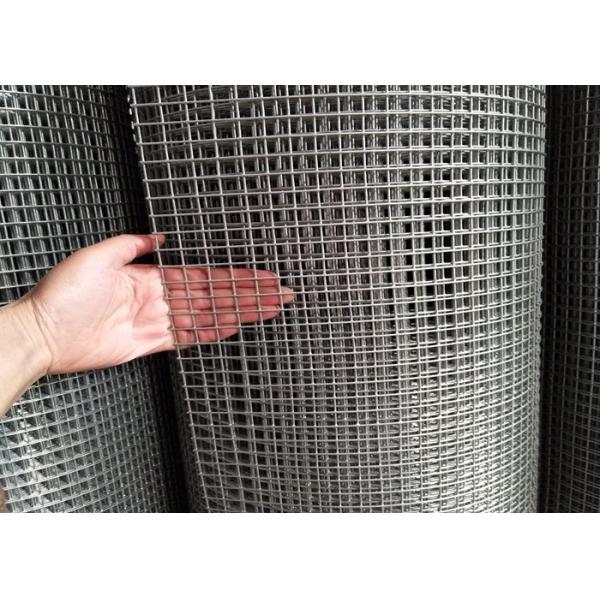 Galvanized Welded Wire Mesh Hot Dip Galvanized Welded Mesh for Fence