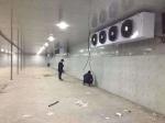R404a Refrigerant Cold Storage Room For Fruit With Swing And Sliding Door
