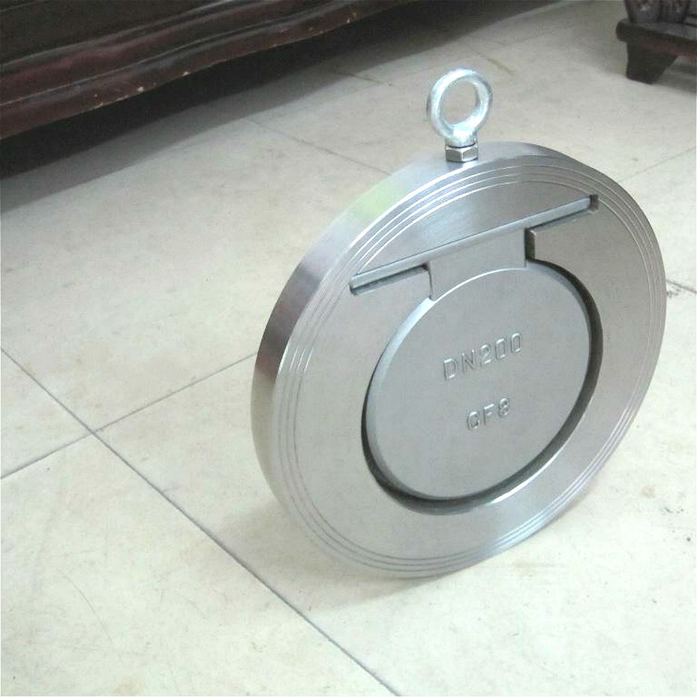 dual plate check valves