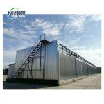 Canadian Hard Maple Kiln Dried Wood Preferred Choice for Dry Wood Sawdos in