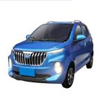 China raysince factory hot sales model cars electric sedan 4 Seats 5 door new