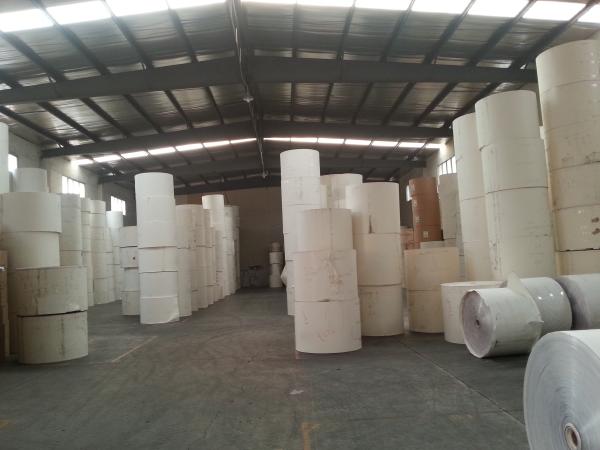 PE Coated Printing Paper Roll for Manufacturing Paper Blank / Paper Fan / Paper