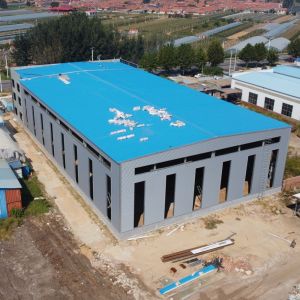 Prefab Steel Structure Warehouse with H-Section Beams Q235B Q355B