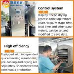 38kw Commercial Freeze Dried Fruits and Vegetables Machine for 21sqm Pallet Area