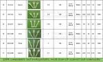 Amazon top seller 2018 1500ml square 3 compartments biodegradable corn starch