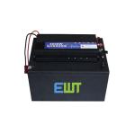 220V Lithium Iron Phosphate LFP Battery 48V 60Ah LiFePO4 Battery Pack