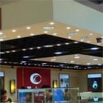 5W LED Ground Glass Ceiling Lamp fixture Droplight Sitting Room AC 220 ~ 240V
