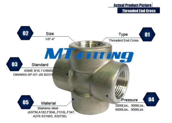 ASTM A182 F304L / 304H Stainless Steel High Pressure Threaded / Socket Welded