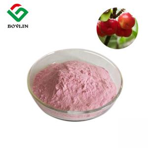 China Vitamin B1 Water Souble Freeze Dried Acerola Cherry Powder For Skincare on sale