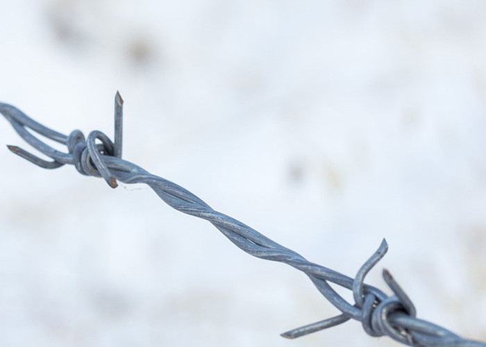 Garden Anti-Theft Length 200m Single Strand Hot Dipped Galvanized Barbed Wire