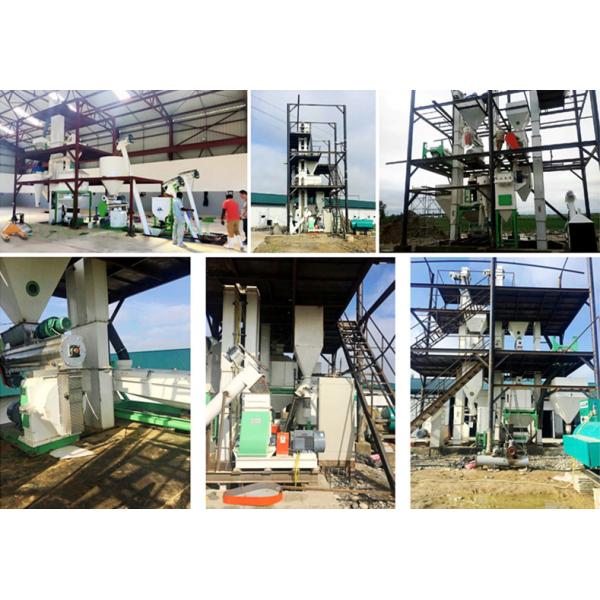 1-2TH Animal poultry livestock Chicken Pig Cattle Horse Feed Pellet Production Line