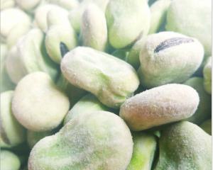 China High Protein Fresh frozen Broad Beans Natural Green Foods For Supermarket on sale