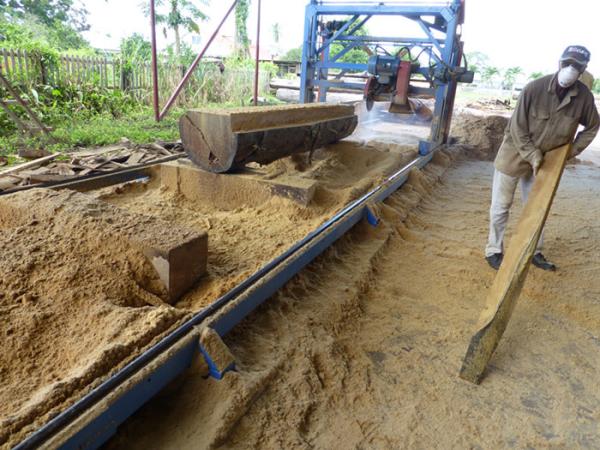 Square timber cutting Circular Sawmill, Swing Blade Circular Saw for hardwood