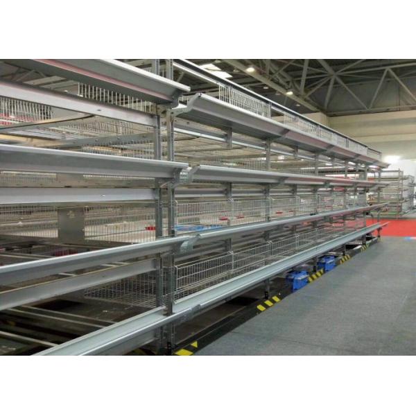 High Efficiency Baby Chick Cage Poultry House Highly Corrosion Resistant