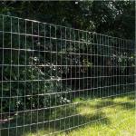 Oem Manufacture Supplier Of 12 Gauge Welded Wire Mesh Corten Steel Electric