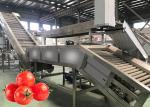 Food Grade 304SUS Tomato Production Line Customized 100T/D
