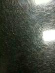 vibration finish stainless steel sheet, Decorative Stainless Steel Sheets,