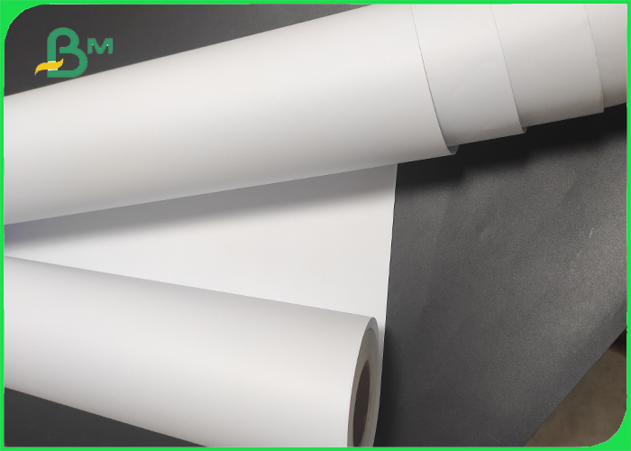 CAD bond paper roll