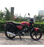 Azerbaijan Ukraine Hot Sale 110CC moped alpha 49cc motorcycle zs engine cheap