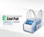 Home EMS Cryolipolysis Fat Freezing Machine For Cellulite Reduction