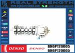 High Performance 6BT 6CTA8.3 C215 Weifu Diesel Engine Fuel Pump 6P730 6P727