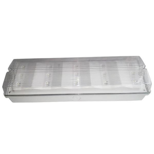 Maintained Ceiling Mounted 2835 SMD LED Emergency Lights For Buildings 50HZ /