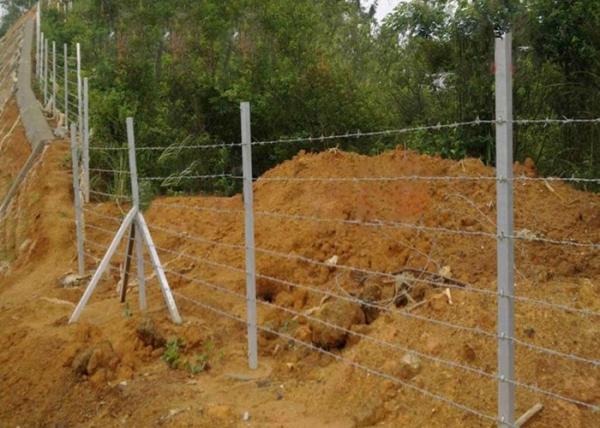 2.5-3.0mm Pvc Coated Barbed Wire Fence For Forest Farm Protection
