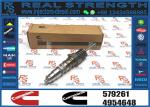 Fuel Injector 579261 1731091 1464994 1511696 1529790 For CUMMINS
